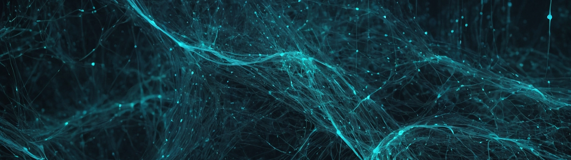 What Is Data Science? A Practical Guide for SEO Professionals and Business Owners